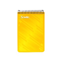 BLOCK TAQUIGRAFIA SCRIBE 5051 RAYA ESP. 100H. CORTO C.(36)